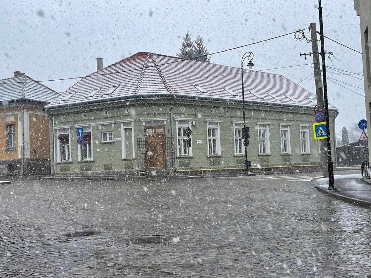 Guest House Hena Sfantu Gheorghe  Exterior photo